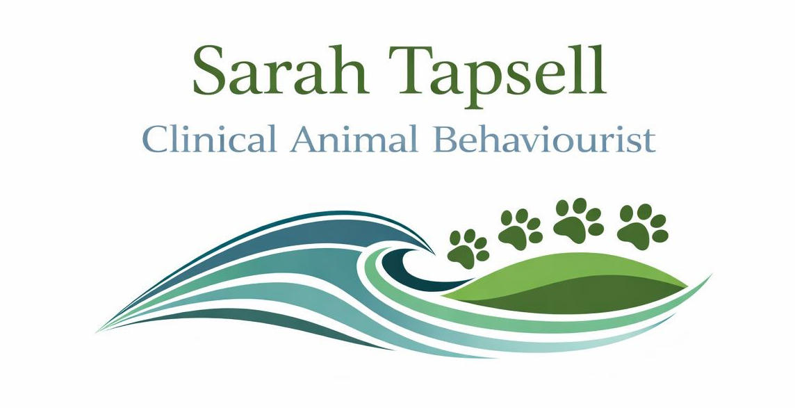 Sarah Tapsell